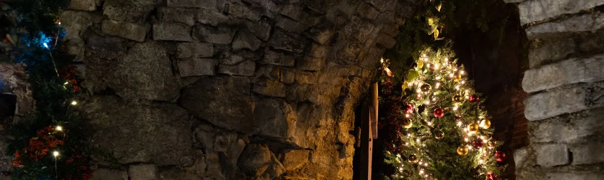 Babbo Natale fa tappa a Bologna nella ghiacciaia di Palazzo Zani